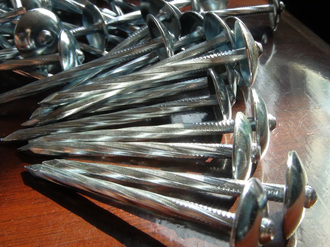 Galvanized Steel Wire/Screw Bolt & Nut /Q195/0.8-4.0 Inch/Concrete/Nails